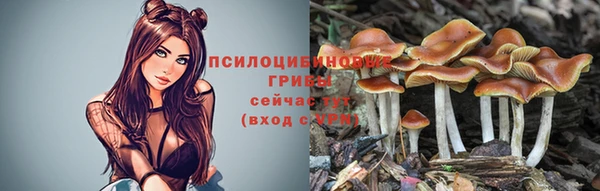 гидропоника Навашино