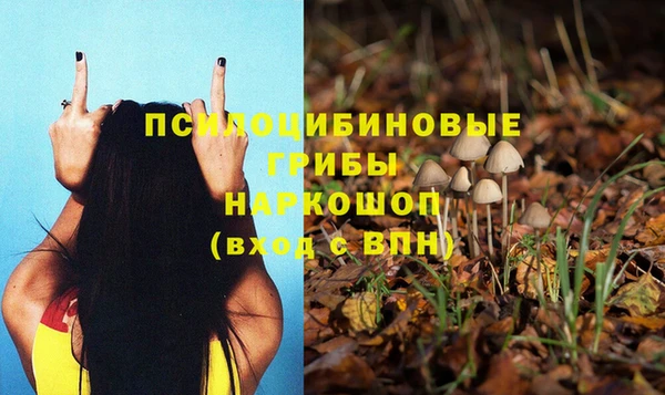 эйфоретик Надым