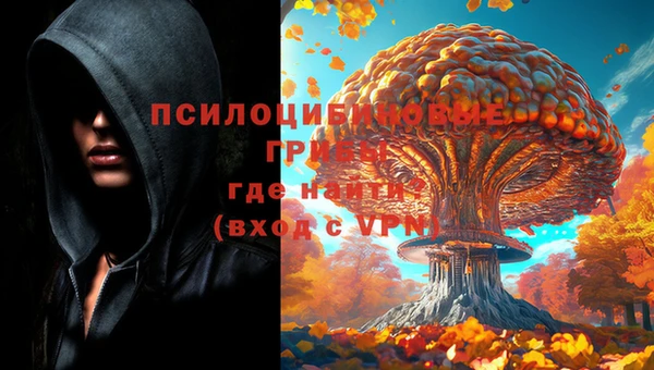 эйфоретик Надым