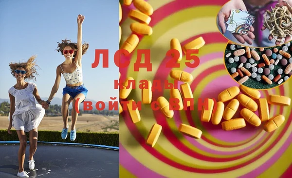 эйфоретик Надым