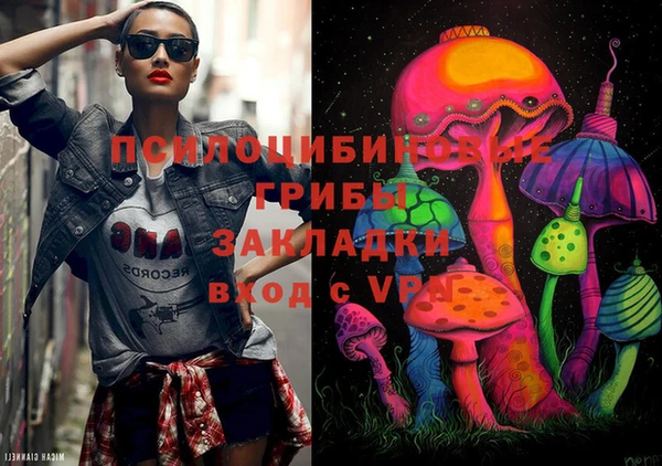 эйфоретик Надым
