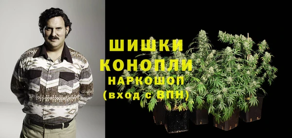 эйфоретик Надым
